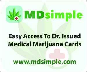 mdsimple