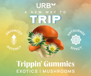 urb