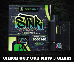 stnr creations